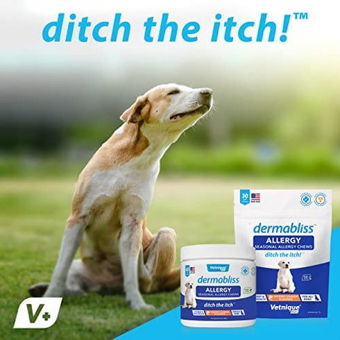 Vetnique Labs Dermabliss Dog Allergy and Itch Relief, Skin and Coat Health Supplements and Grooming Supplies with Omega 3-6-9, Biotin - Ditch The Itch (Allergy Chews, 30ct)